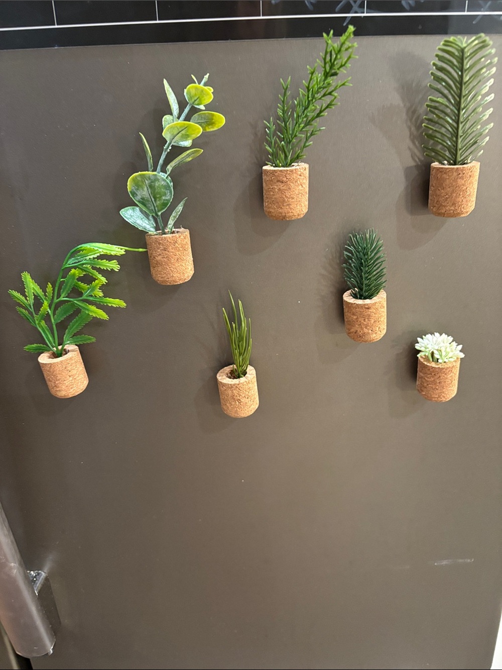 Magnetic Cork Wall Planter Hooks - Green